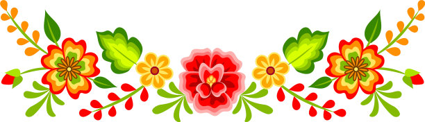 墨西哥的花卉图案图片下载