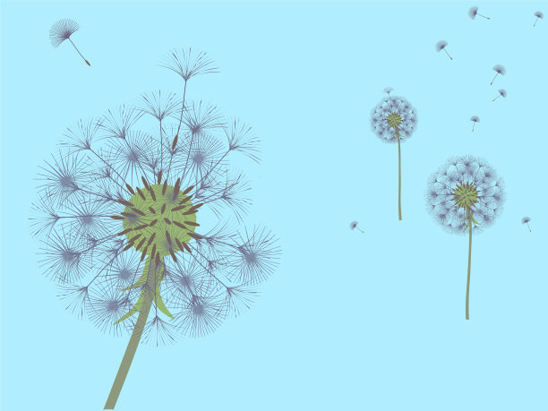 抽象的背景图片下载