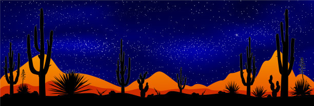 墨西哥沙漠上的星夜图片下载