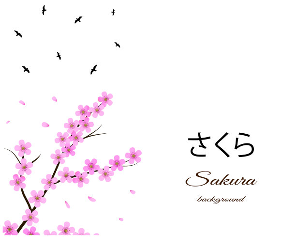 樱花的背景与花枝鸟图片下载