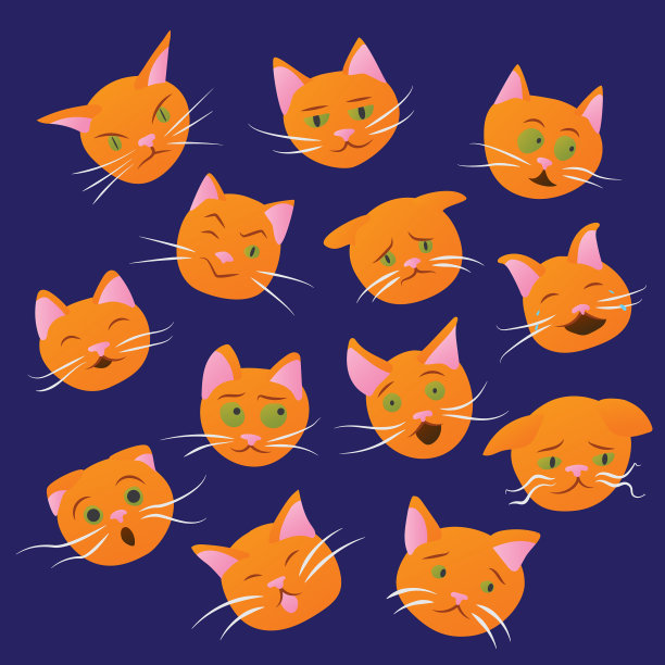 猫的一系列情绪图片下载