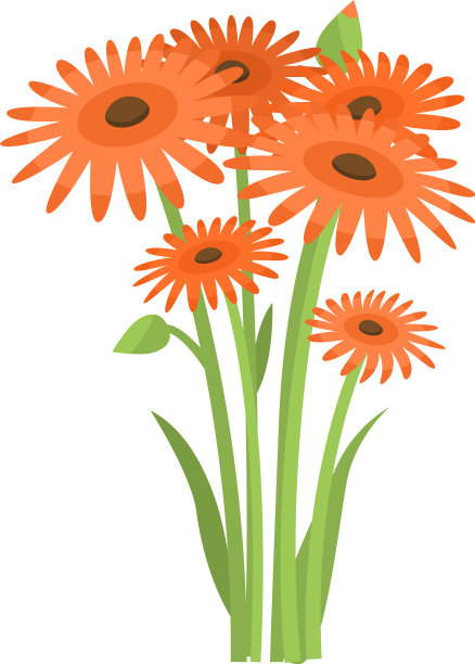 花床上生长着大量橙色非洲菊图片下载