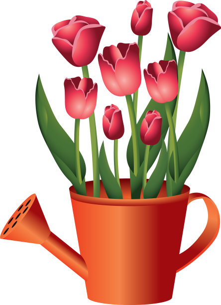 热带花卉卡通图片下载