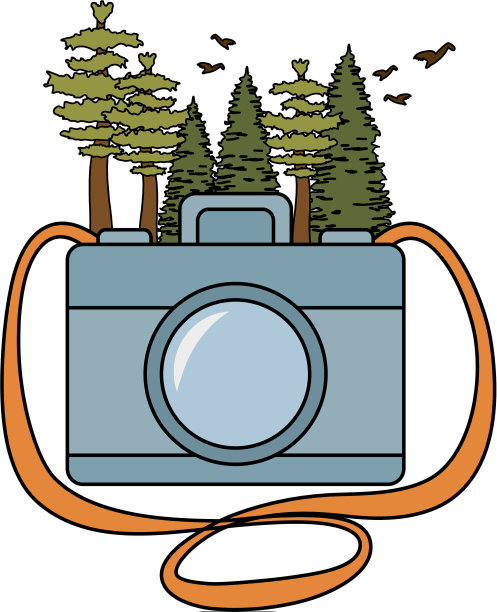 松树树木森林场景与相机图片下载