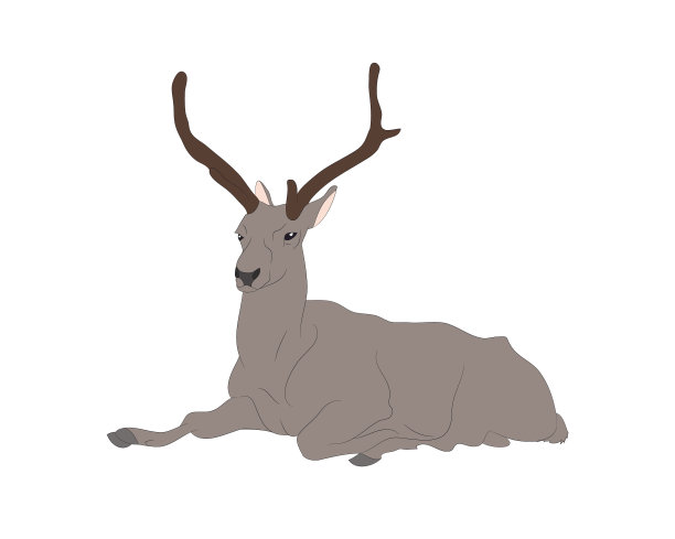 一只躺在地上画颜色的鹿图片下载