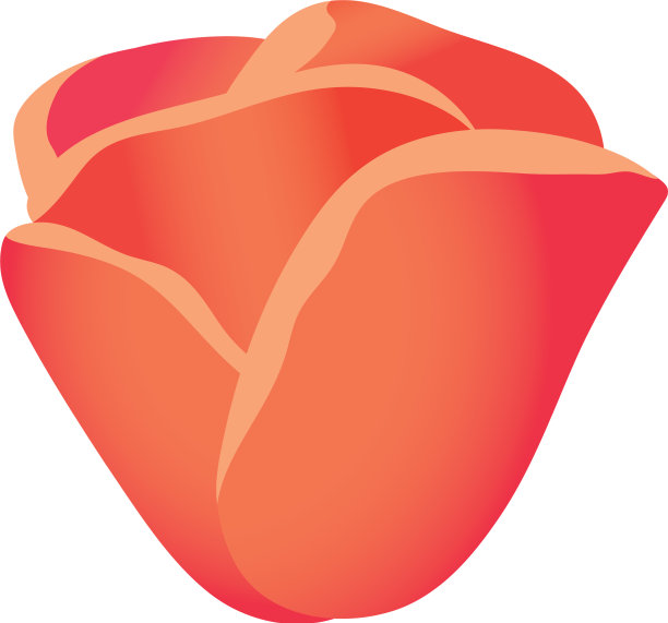 热带花卉卡通图片下载