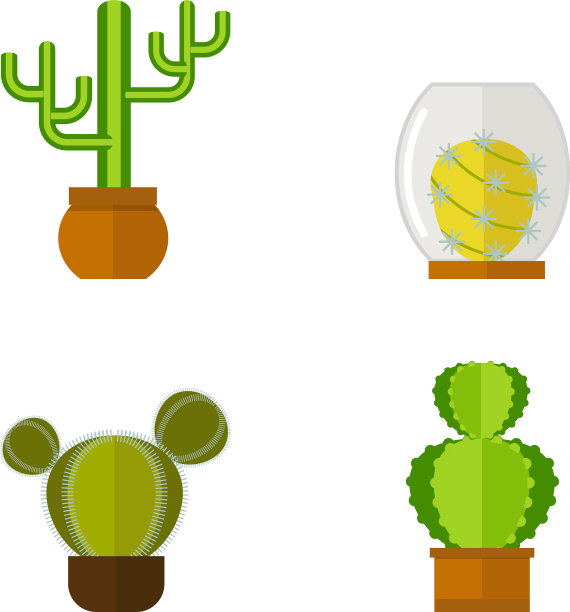 仙人掌自然沙漠花绿墨西哥图片下载