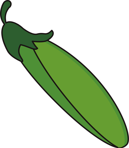 西葫芦蔬菜食品新鲜图片下载