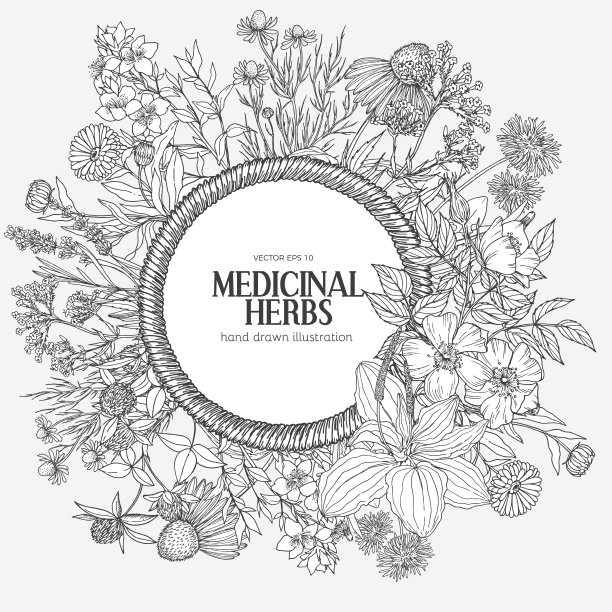 美丽的复古绳架与草药图片下载