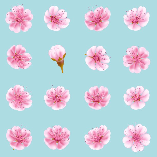 樱花图标集孤立EPS 10图片下载