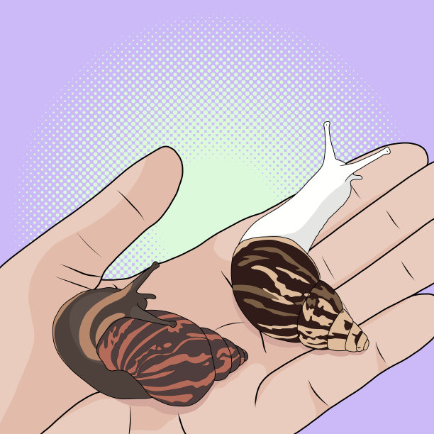 演示一只蜗牛在手掌上的蛞蝓图片下载