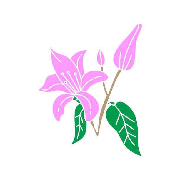 花叶设计模板图片下载