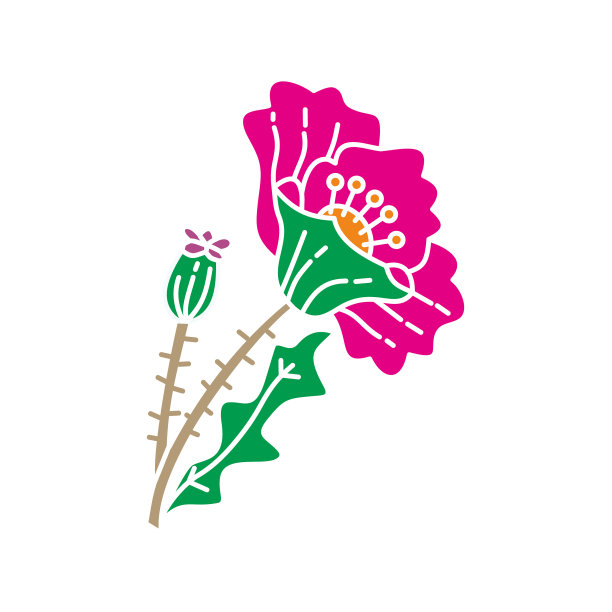 花叶设计模板图片下载