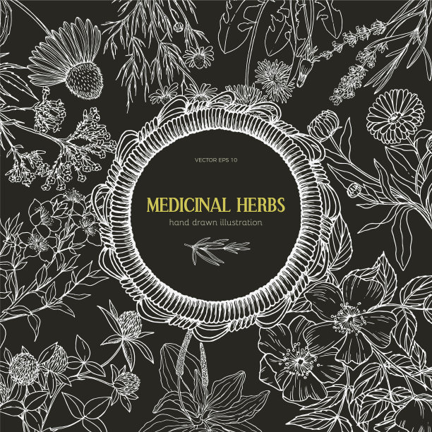 白垩圆柳条框架与草药和图片下载