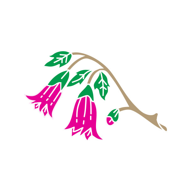 花叶设计模板图片下载