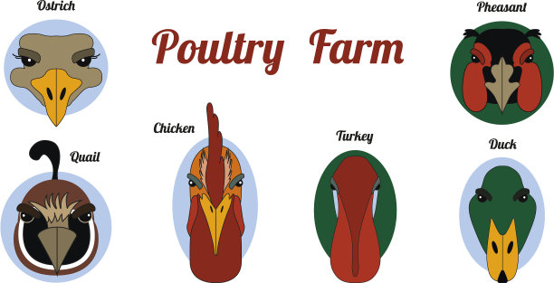 扁平图标家禽养殖场图片下载