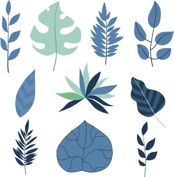 一组扁平的热带叶子图片下载