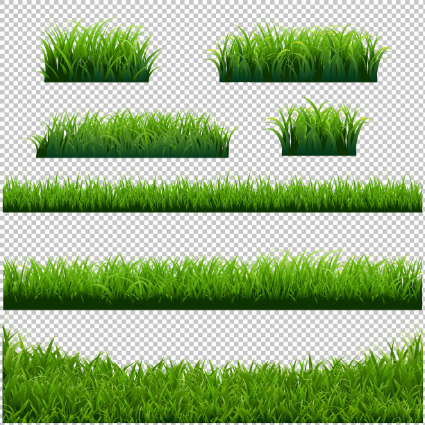 绿草边框大设置透明背景图片下载