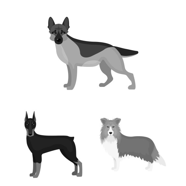 狗品种单色图标集合图片下载