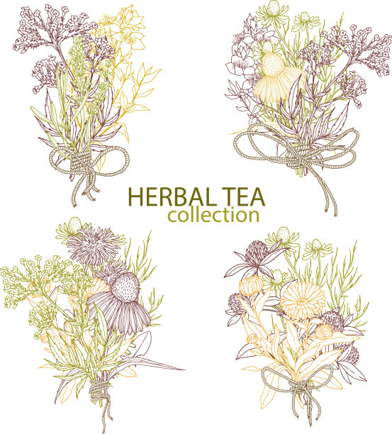 可爱的彩色花束组成的草药图片下载