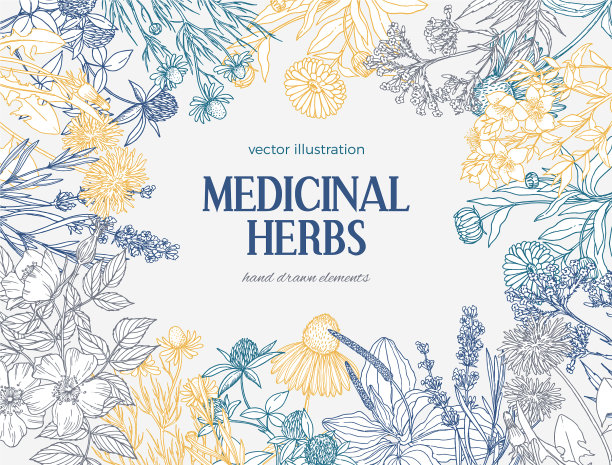 矩形卡片模板与复古草图图片下载