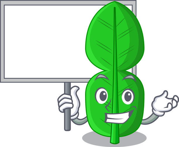 把佛手柑柠檬叶隔离在吉祥物上图片下载