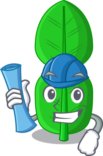 建筑师在一个卡通形状的佛手柑叶图片下载