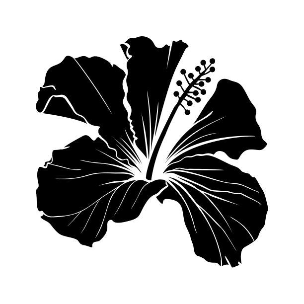 夏威夷木槿激光切割剪影图片下载