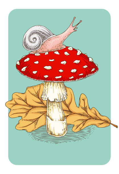 明信片飞木耳蘑菇叶和蜗牛图片下载
