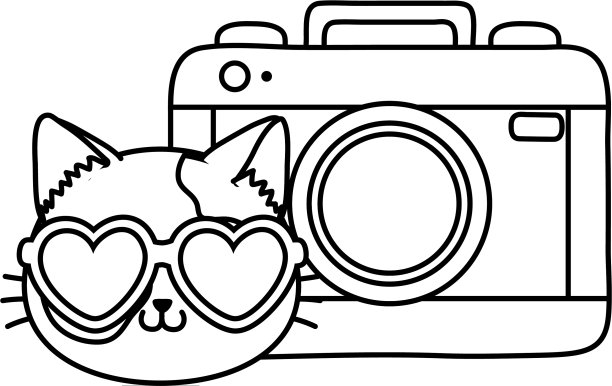 猫和照相机黑白图片下载