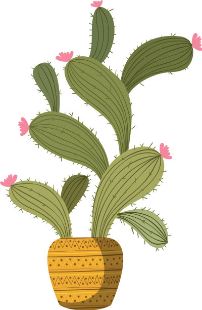 仙人掌盆栽孤立图标图片下载