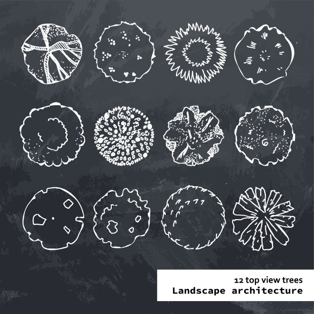 俯视图轮廓设置不同的树图片下载