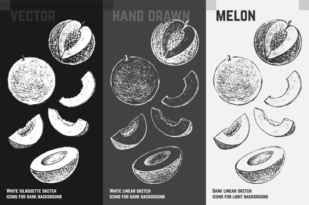 手绘瓜果素描集图片下载