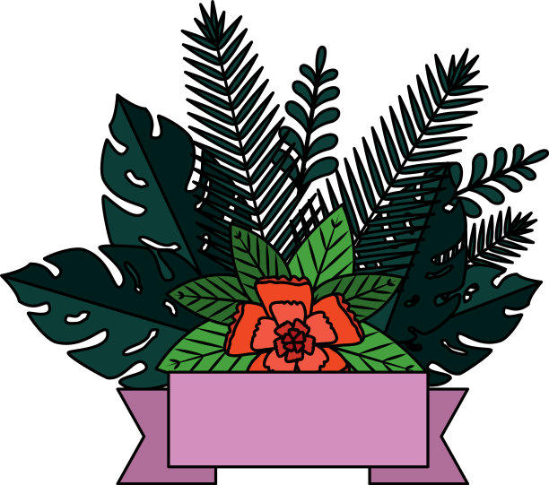 夏季叶植物花卉装饰图片下载