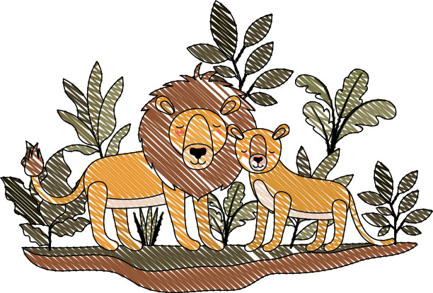 丛林里的一对野生狮子图片下载