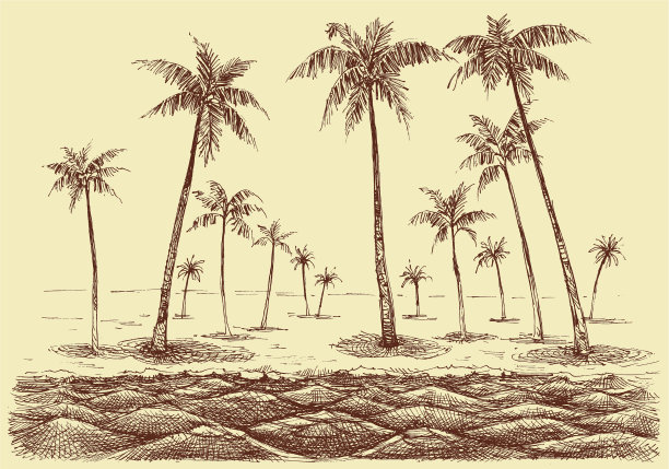 棕榈树，海滩全景从海上图片下载