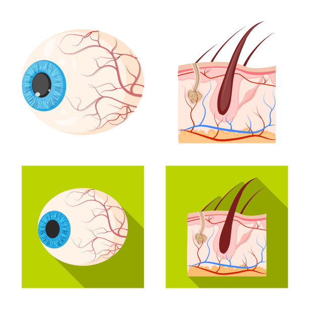 设计人体和人体标志集体图片下载