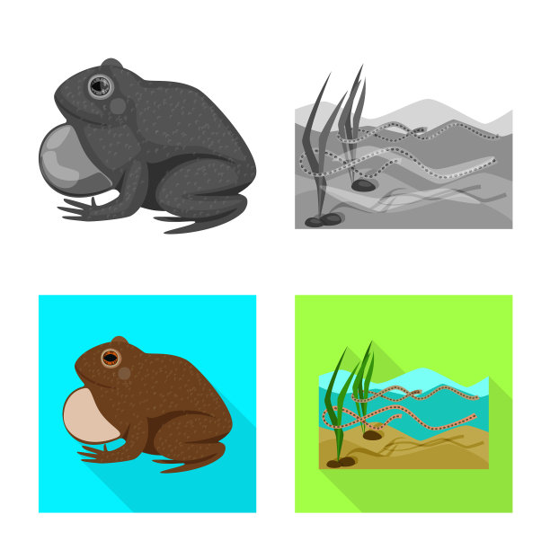 孤立的物体野生动物和沼泽标志图片下载