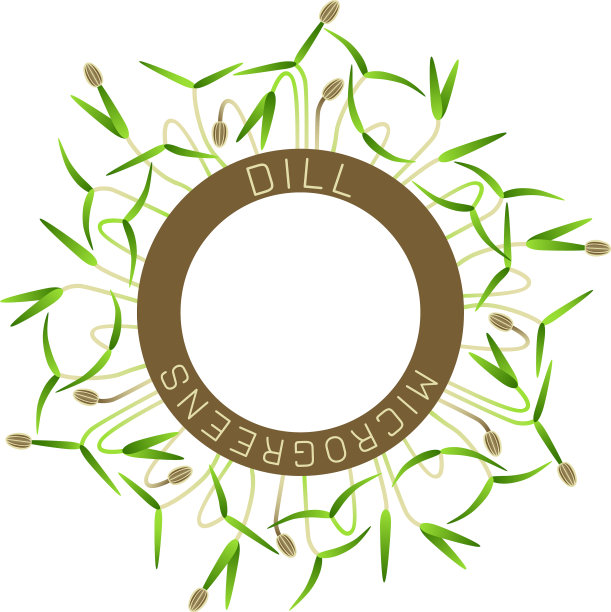 小茴香种子包装设计轮图片下载