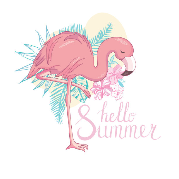 火烈鸟设计的背景图片下载