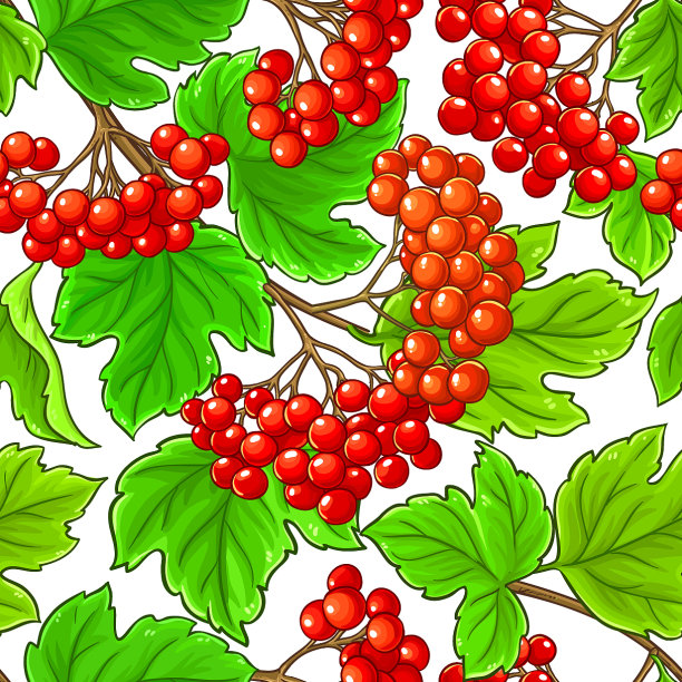 guelder增长模式图片下载