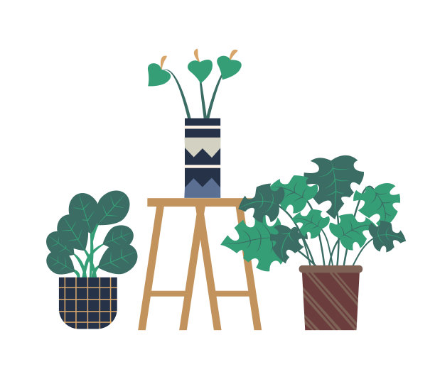 马蹄莲花在花盆花盆温室图片下载