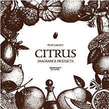 柔和的颜色，陈年柑橘背景图片下载