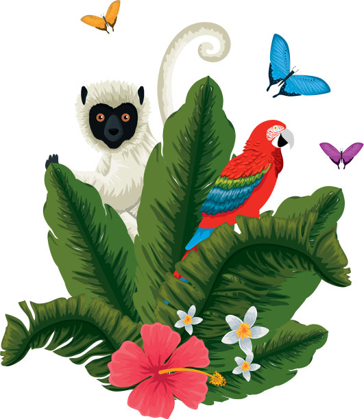 热带卷尾猴和鹦鹉在棕榈叶图片下载