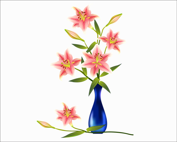 花卉及花卉装饰品图片下载