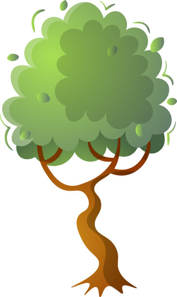 常绿的单株植物，树冠在图片下载