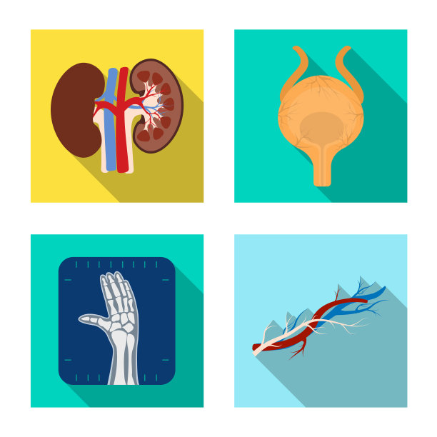 设计人体和人体符号集图片下载