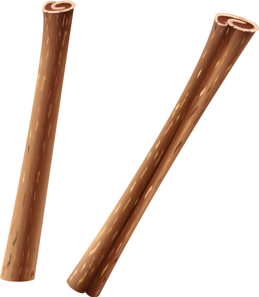 两根卷好的肉桂棒图片下载