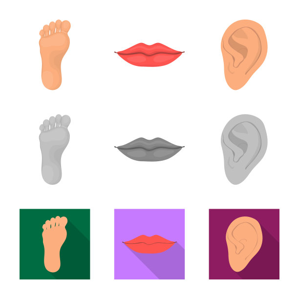 隔离的对象主体和部分图标集合图片下载