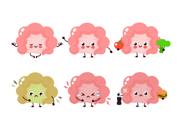 健康和不健康的人体肠道器官图片下载